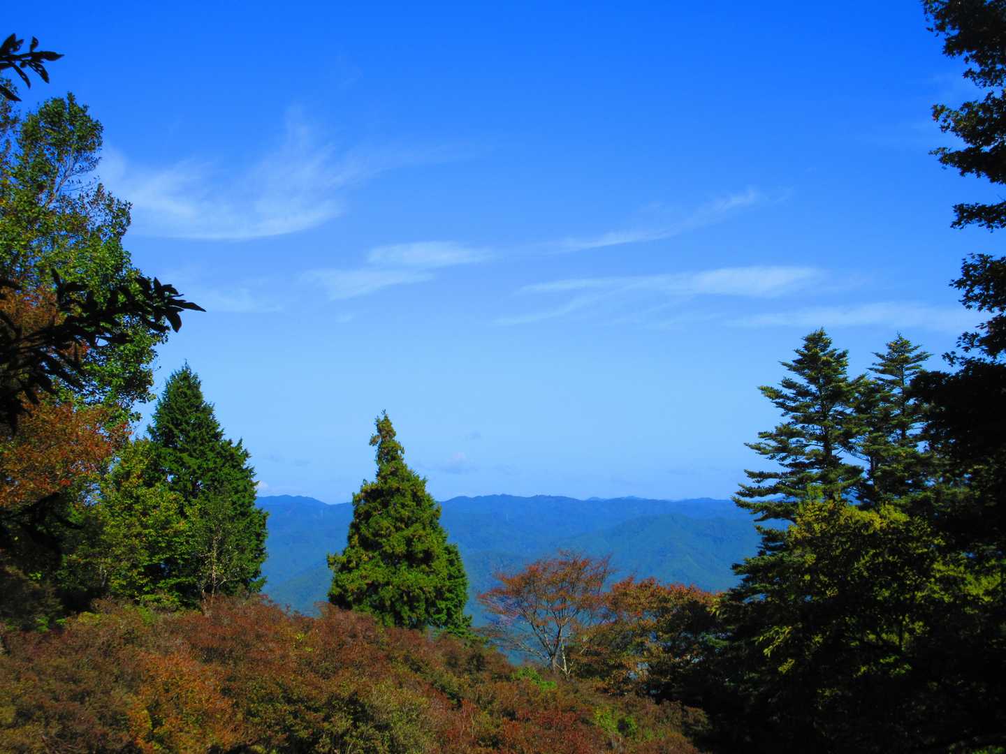 修学院駅-比叡山登山口-修学院山-比叡山坂本駅 縦走コースの写真
