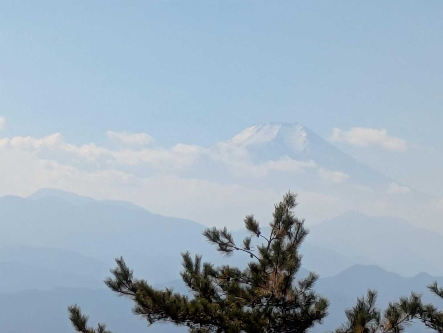 武蔵五日市駅-独標-入山峠-旧入山峠-鳥切場-栗ノ木沢ノ頭 縦走コースの写真