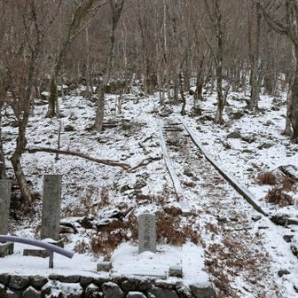 趣のある道が続きます