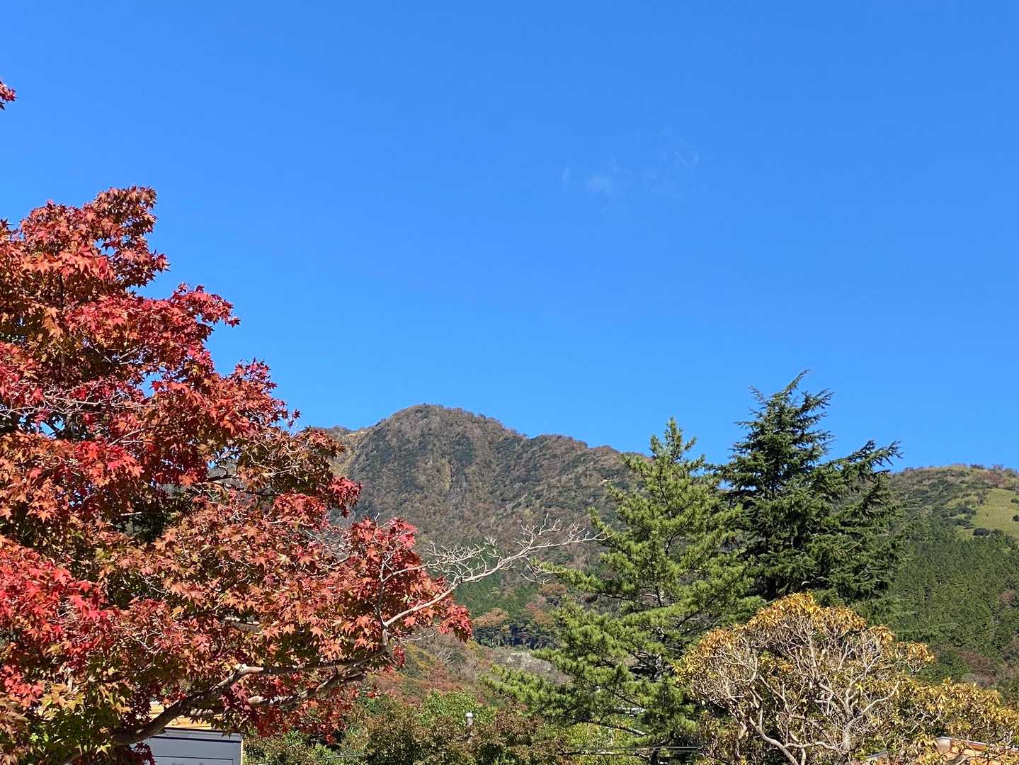 秋晴れの金時山⛰