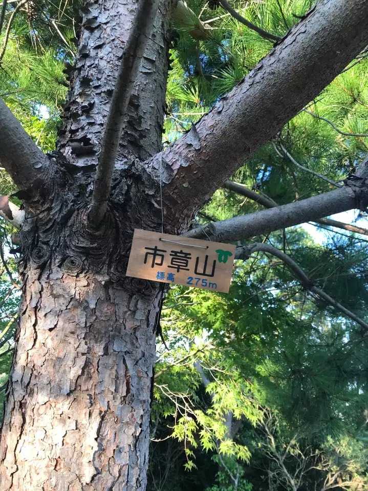 市章山の写真