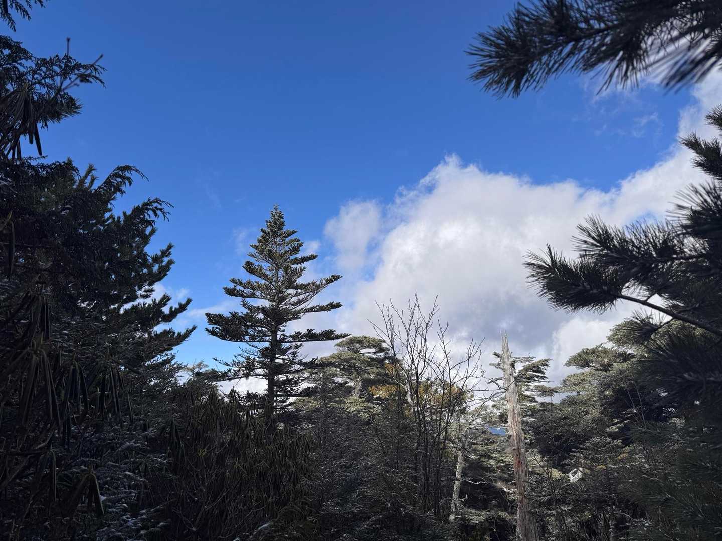 金峰山（廻り目平）の写真