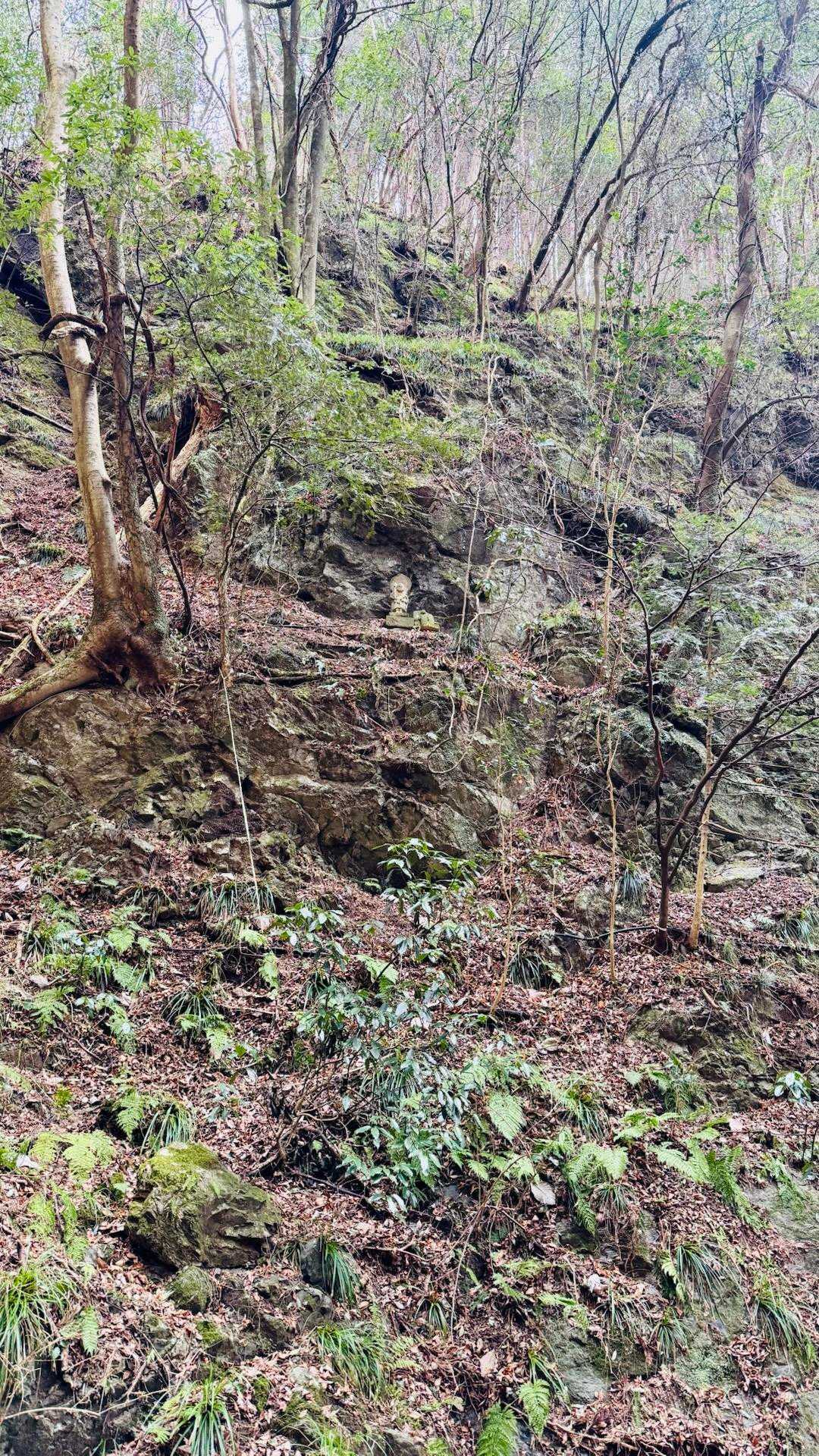 下山道、あんなに高い場所にお地蔵様が。
前回はここを登ってきたので角度的に気付きませんでした。