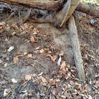 わかるかな？峠をほんの数メートル通り過ぎた所に小さなプレート（十里上峠）そして、ルートに戻ります