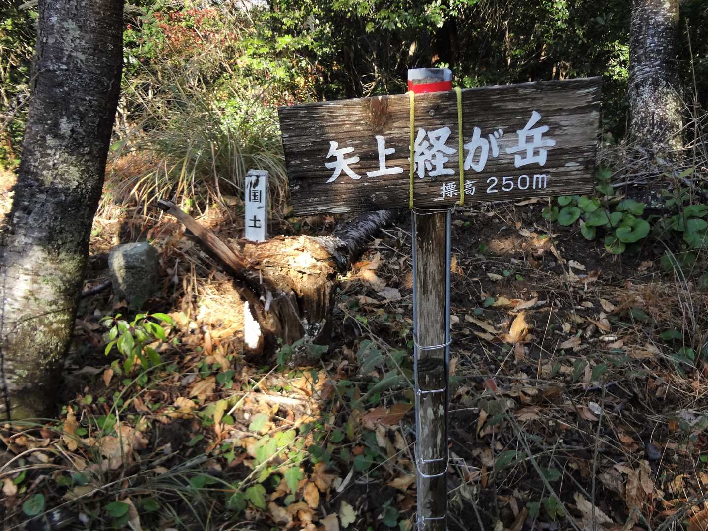 そしてここが山頂。矢上経ヶ岳 標高 250.3m、三等三角点(基準点名：経ヶ岳)。登山口から往復10分かかりませんでした😄
