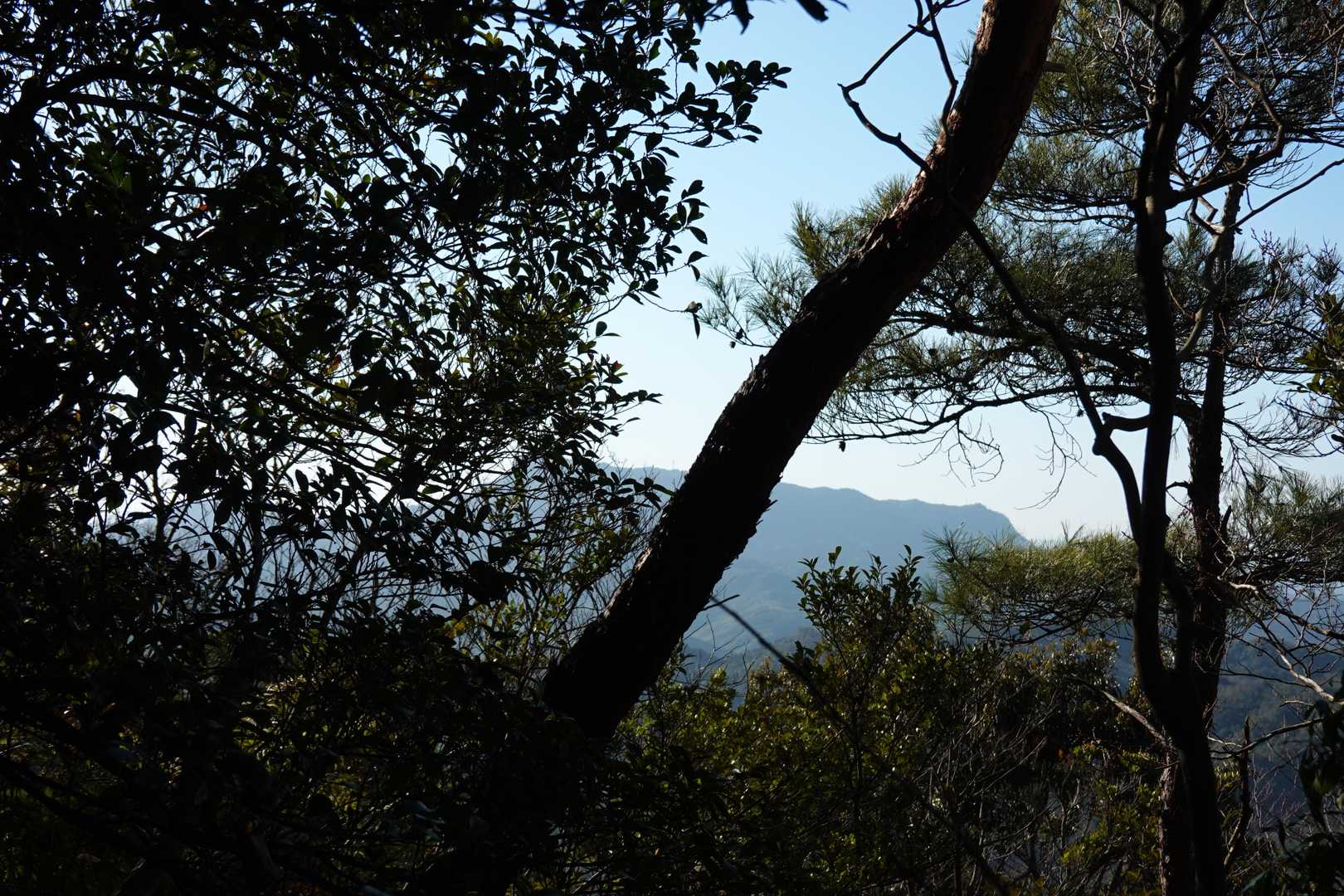 八面山からは稲積山がはっきり認識できるのでこっちからも見えるかと思いきやほぼ見えなかった👀
絶壁側からなら見えるのかな😺