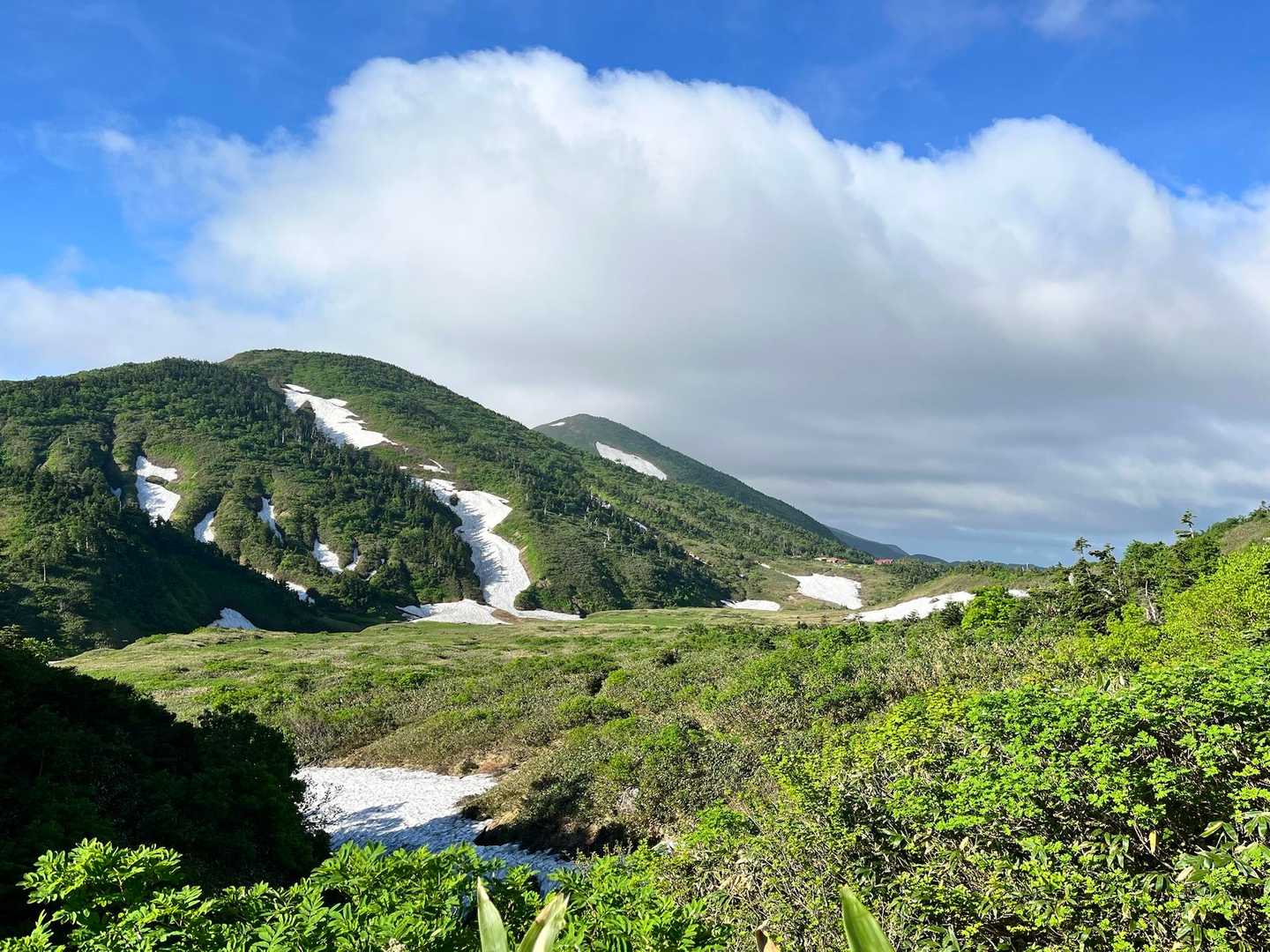 南竜山荘が小さくなった🏡