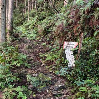 登山口　駐車場はこの手前　アスファルト舗装路で数台止められます