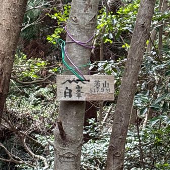芳山へ到着しました⛰️
こちらも眺望なしです