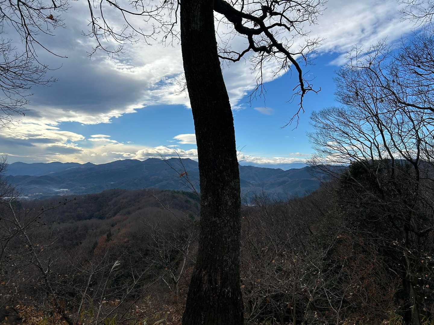 定点観測