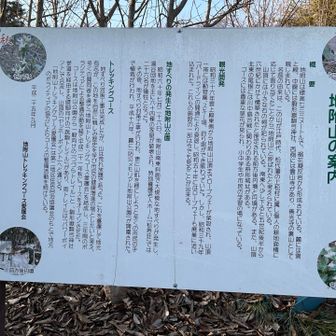 説明書きや看板の多さを見るに、ここがメインの登山口なのだろう。