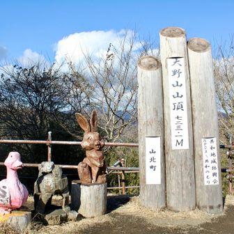 あっという間に山頂です🚩