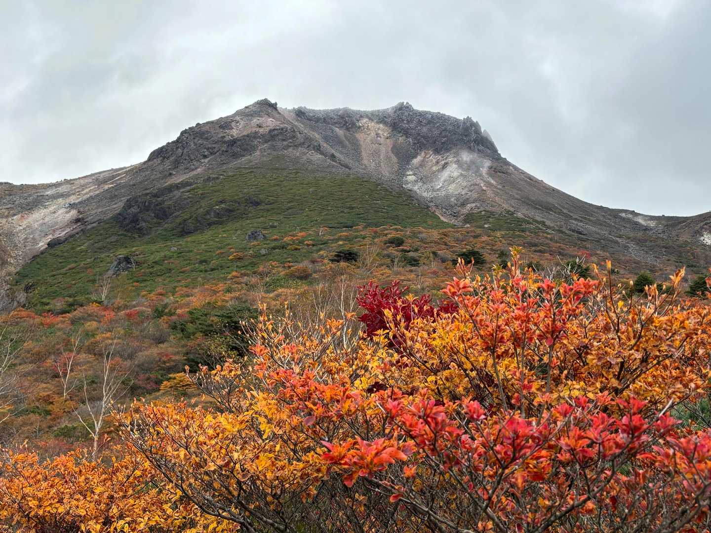 峠の茶屋登山口-茶臼岳-ひょうたん池-隠居倉-熊見曽根-1 周回コースの写真