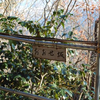 雄岳の下りにおおせ坂へ寄りました😄