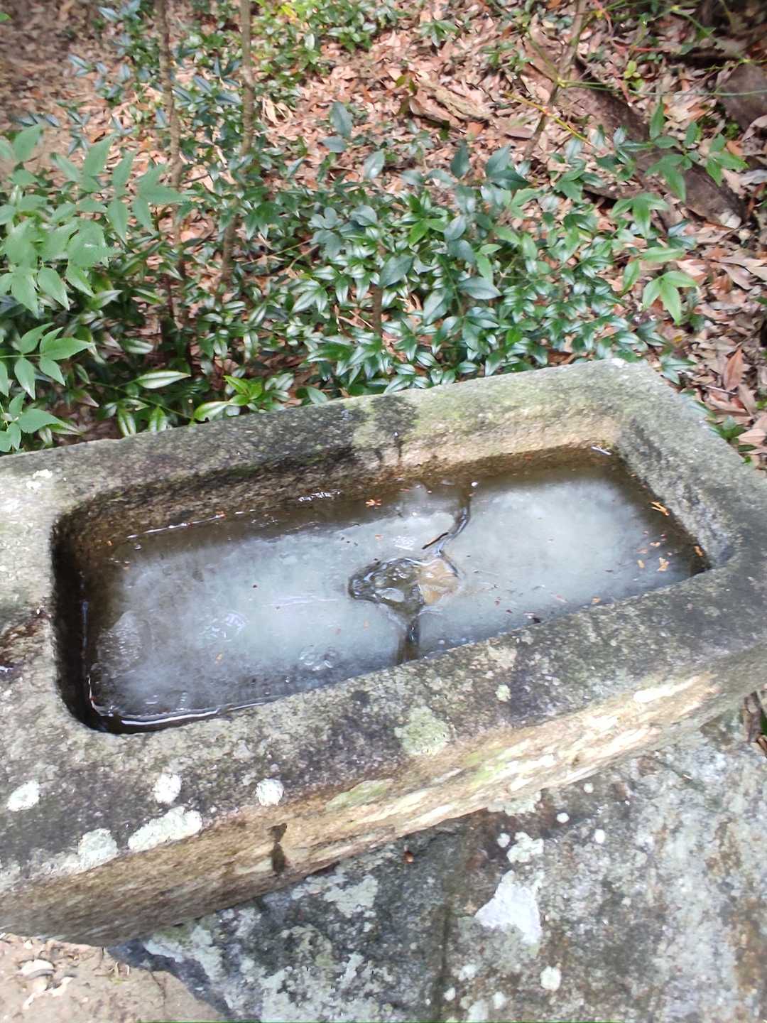 宮路山 往復コースの写真