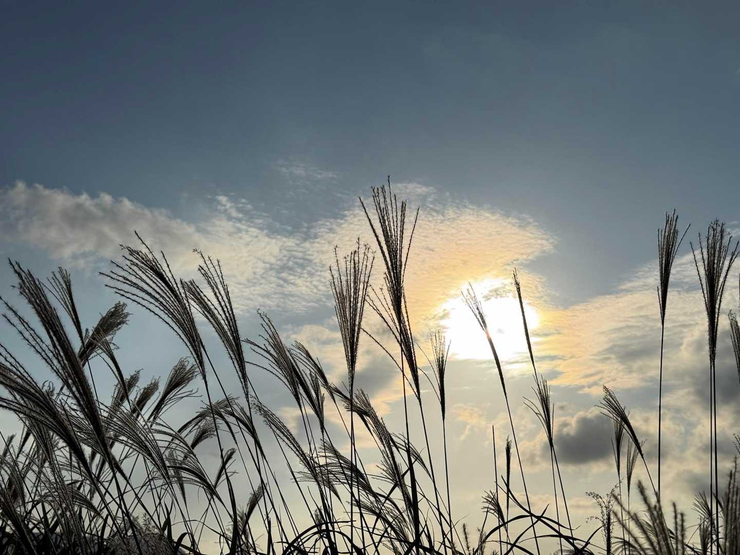 何かいい…でもコレが最後というのはいかがかということで…