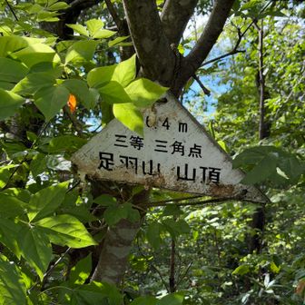 足羽山山頂(標高117㍍)へ登ったよぉ🤗