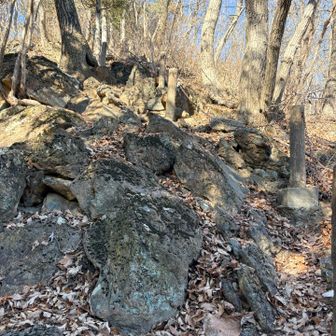 蛇紋岩とのことだけど、全然滑らない❓
至仏山の時とは大違い。