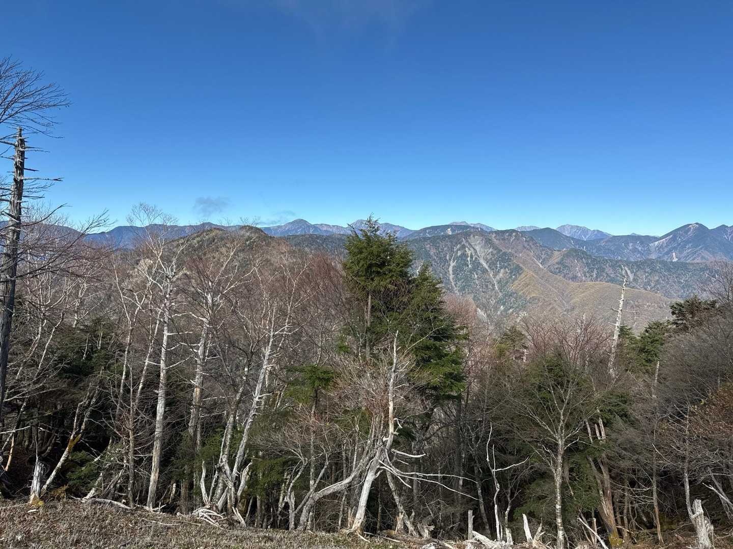 南アルプスが一望。