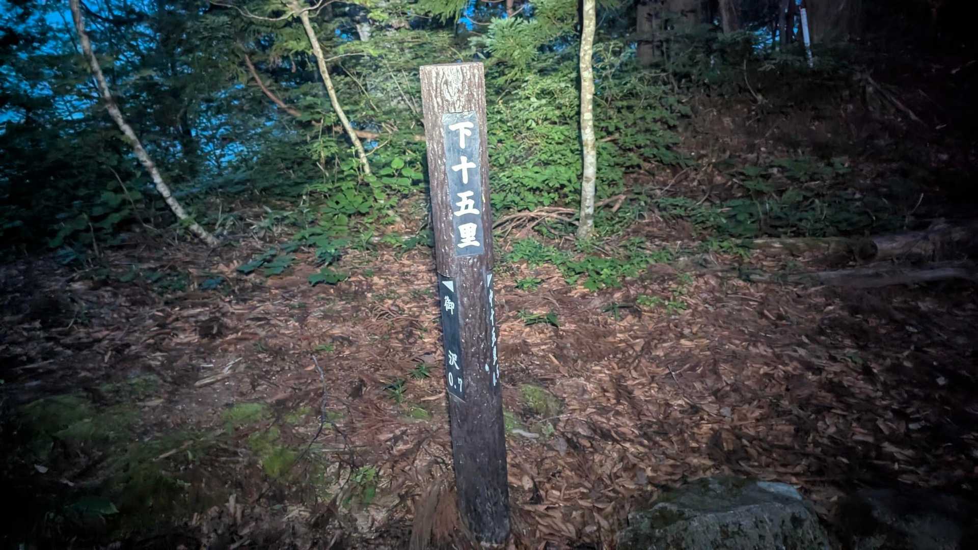 暗くても暑い。既にびちょびちょ。
ココから山頂までfinetrackのメッシュで歩きました😅。