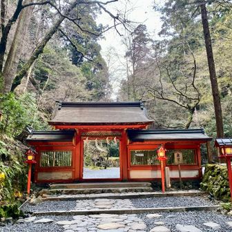 薮の急登で散々鍛えたので舐めてましたがさっきのとこは行ったらアカンですね

そして奥宮へ降りましたが、誰かが通った点線もないし我こそはと思う方はまず登りで使ってください

参道入口のトイレ付近へ一気に降る(或いは登る)ルートなので降りで使おうとしたら降りるに降りられなくて救助要請するパーティー一定数いそうです
もう無理！降りられないと思ったら救助要請の前にまずは転がり落ちてください

尾根上には熊のフンが2ヶ所、尾根に降りる途中の斜面に熊の爪痕1ヶ所ありましたので全くオススメしません