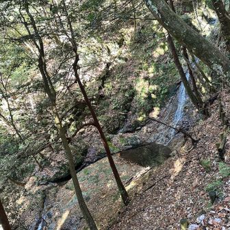 林道まで戻ったとこでヒトと出会ぅ✨
嬉しすぎて抱きつこか思た♡

2週間前に反対側から登ったら残雪に鹿ではない足跡がいっぱいあったらしぃ

それクマ‼️Jォジの話と繋がるやーん！！