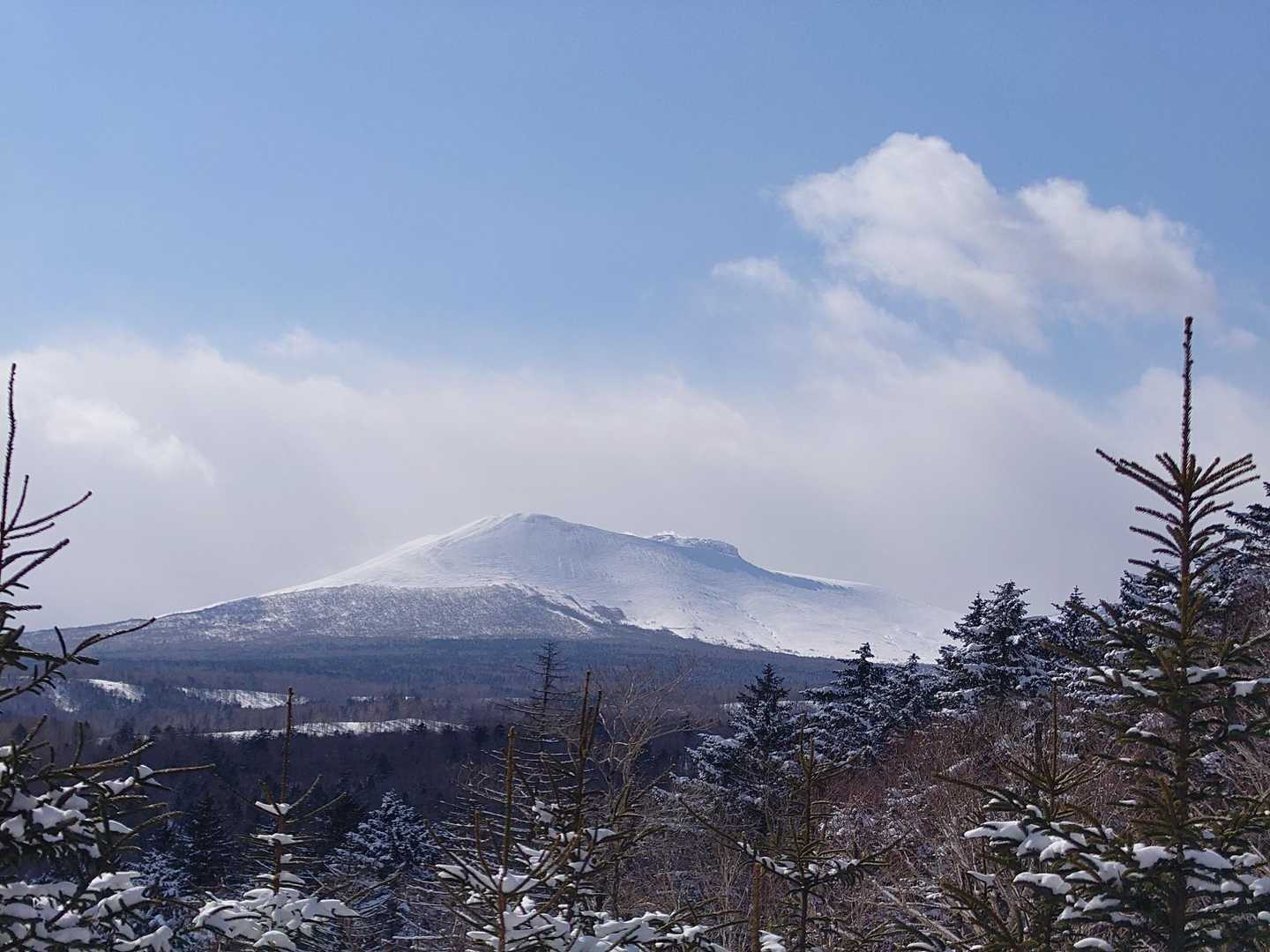 丸山遠見登山口-丸山遠見 往復コースの写真