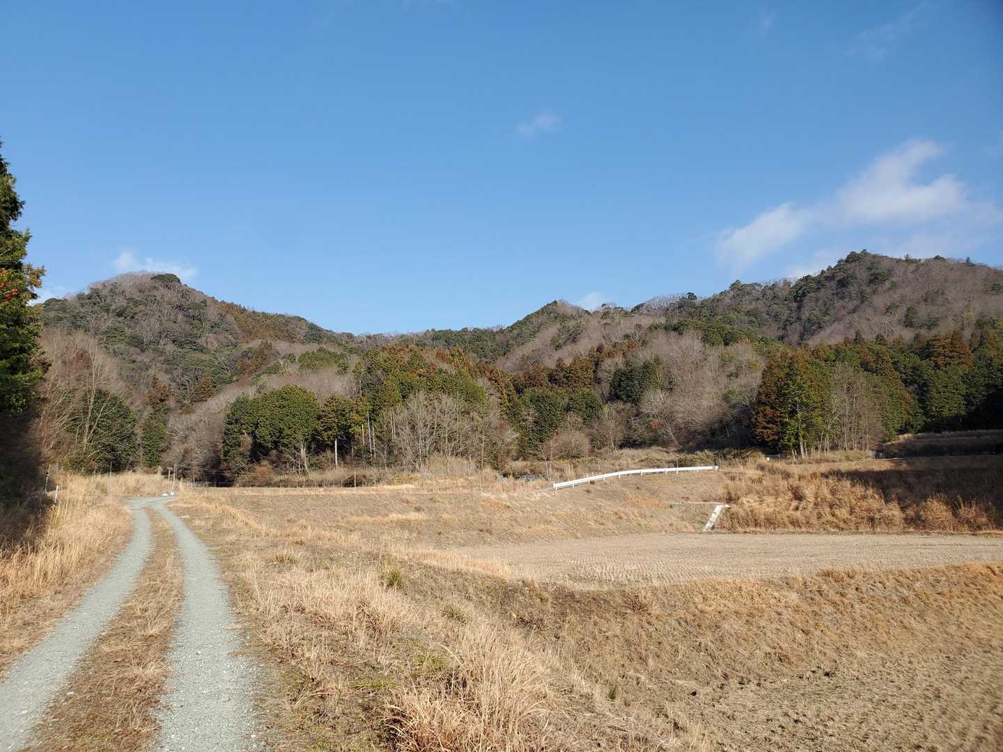 のどかやね😊