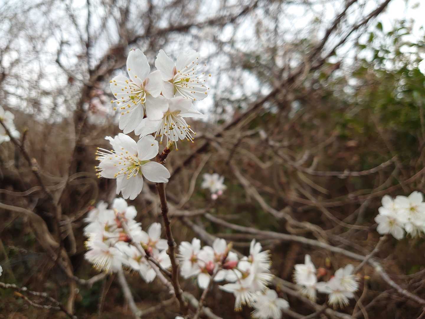 嬉しくなる