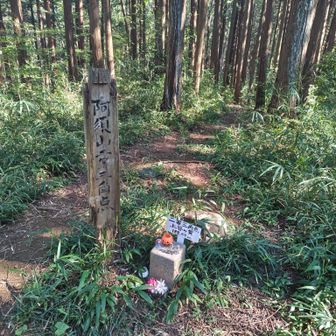 阿須山