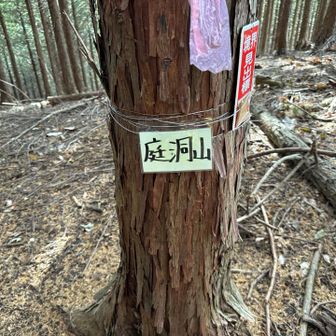 ラストピークの庭洞山。