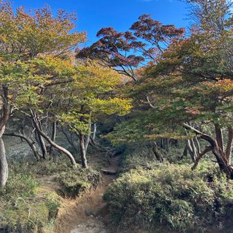 秋っぽいの景色