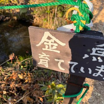 金魚が2匹いました。