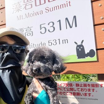 🐶むぎのぼれたよ！
🧑🏻エライエライ、頑張ったね！！
🧑🏻まさか一緒に来れる日がくると思わなかったよ！