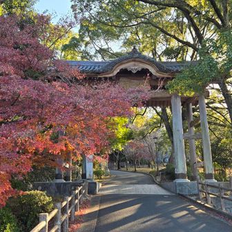 ここからスタート