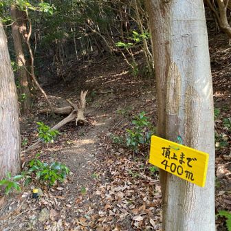 まだまだやーん