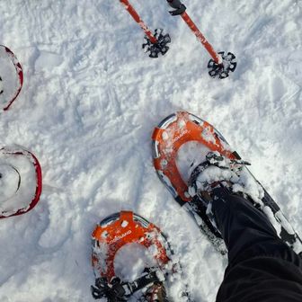 今日の私のお供です✨✨
昨年はこれが無くて、ズボズボはまりながら歩いたのが懐かしいなぁ🤣