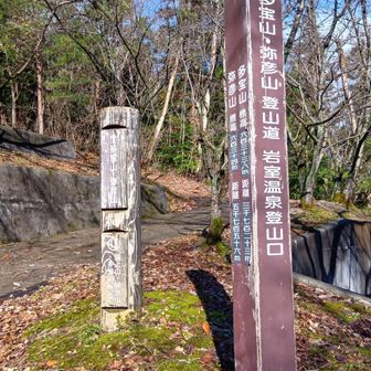 ここから登ります