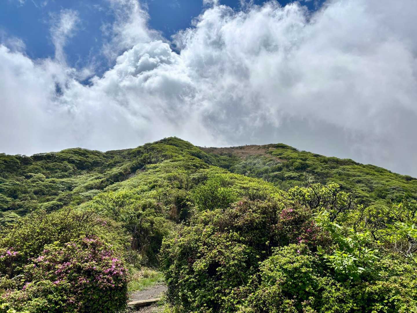 スカッと晴れた☀️目指すは山頂‼️