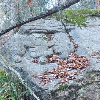 逆さ観音。
鎌倉期の摩崖仏で、オランダ堰堤の石材の採掘時に背後が削られ転倒だって。なんてこった。