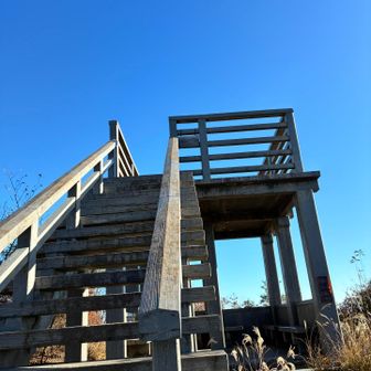 展望台を降りて直ぐの車道横から、また別の熊が何か吠えながら走り過ぎました。。