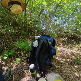 山頂からほんの少し下った所の木陰で山ランチ＆山カフェです。
ほぼ熱中症手前。尋常じゃない滝汗でした。
水分補給と塩レモンゼリー＆コーヒー飲んで生き返る。

シシ神様に守られて、復活です。