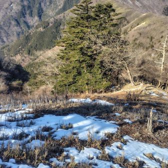 野地峰方面横目に見ながら