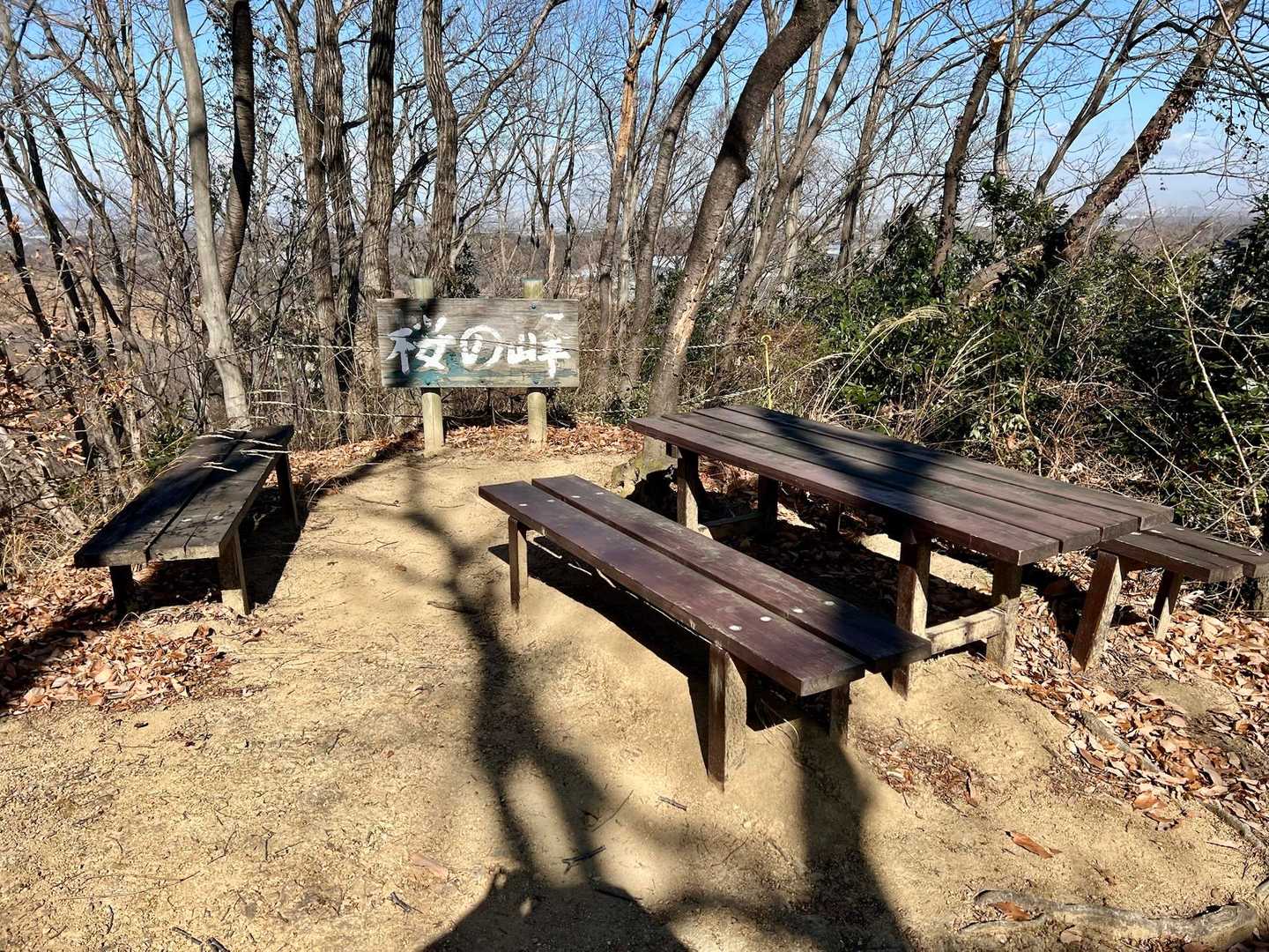 ピーク桜の峰
春は凄そう