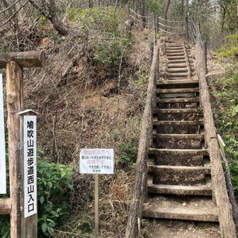 地図を見ると激下り😨
どんな感じ？と覚悟してたけど、ずっと階段で安全に下れました