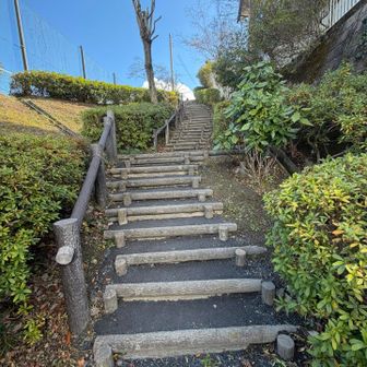 お！登山道感を出して来た！
