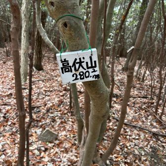 四つ目、高伏山⛰️ピーク