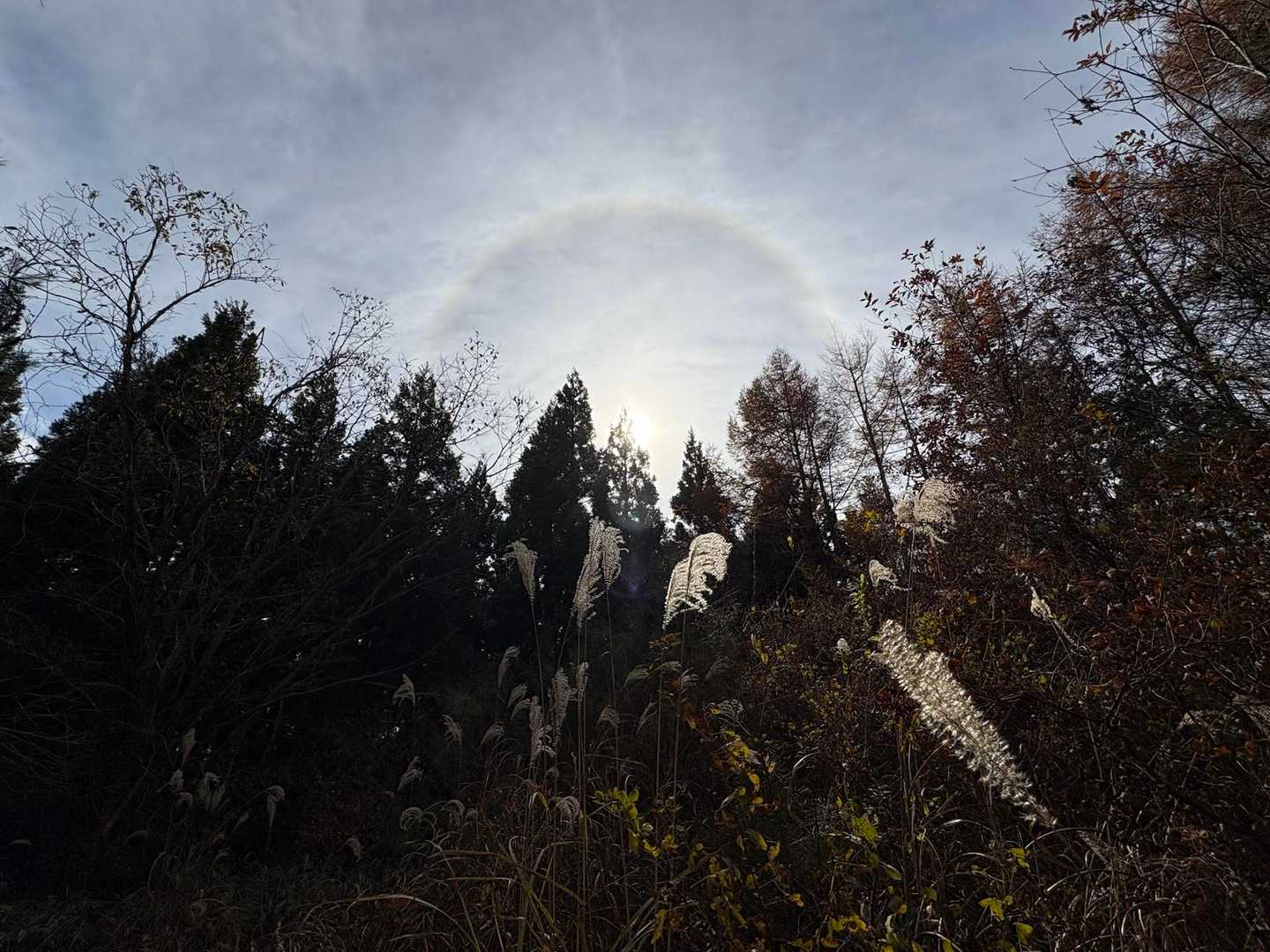 いわき市 いわきの里 鬼ヶ城-鬼ヶ城山登山口-鬼ヶ城山 周回コースの写真