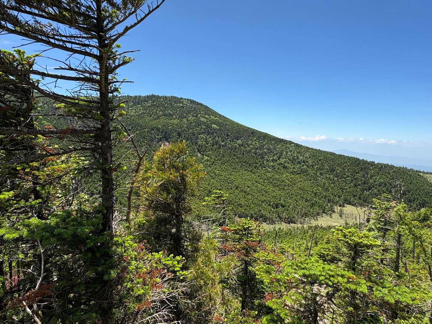 疲れちゃったから、縞枯山・茶臼山はまた今度にしよう🙂‍↕️
400〜500mくらい登ったかな？と記録を見たら、たったの200m😱！ｳｿｰ