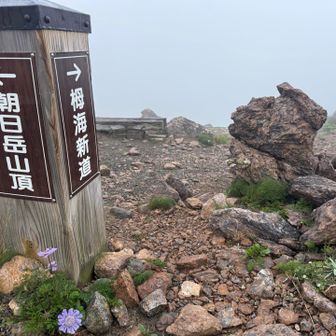 さあ、栂海新道へ